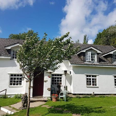 Coynant Farm Guesthouse - Farm Park Stay Swansea Kültér fotó