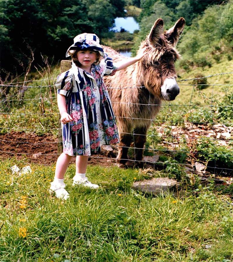 Coynant Farm Guesthouse - Farm Park Stay Swansea Kültér fotó