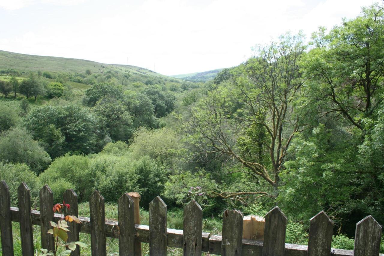 Coynant Farm Guesthouse - Farm Park Stay Swansea Kültér fotó