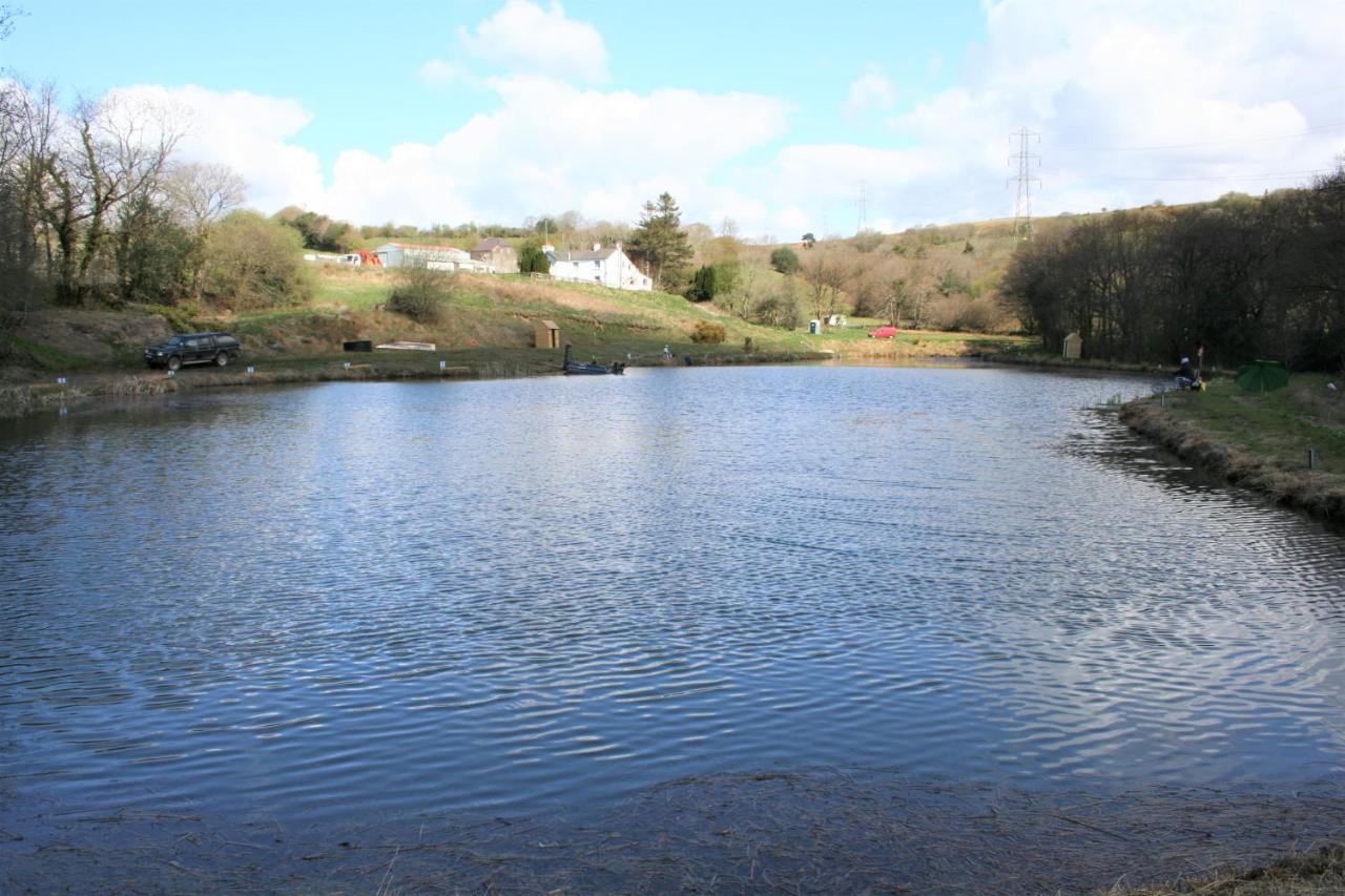 Coynant Farm Guesthouse - Farm Park Stay Swansea Kültér fotó