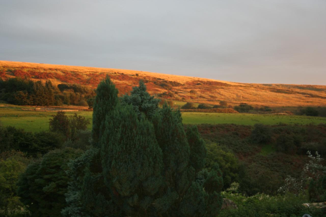 Coynant Farm Guesthouse - Farm Park Stay Swansea Kültér fotó