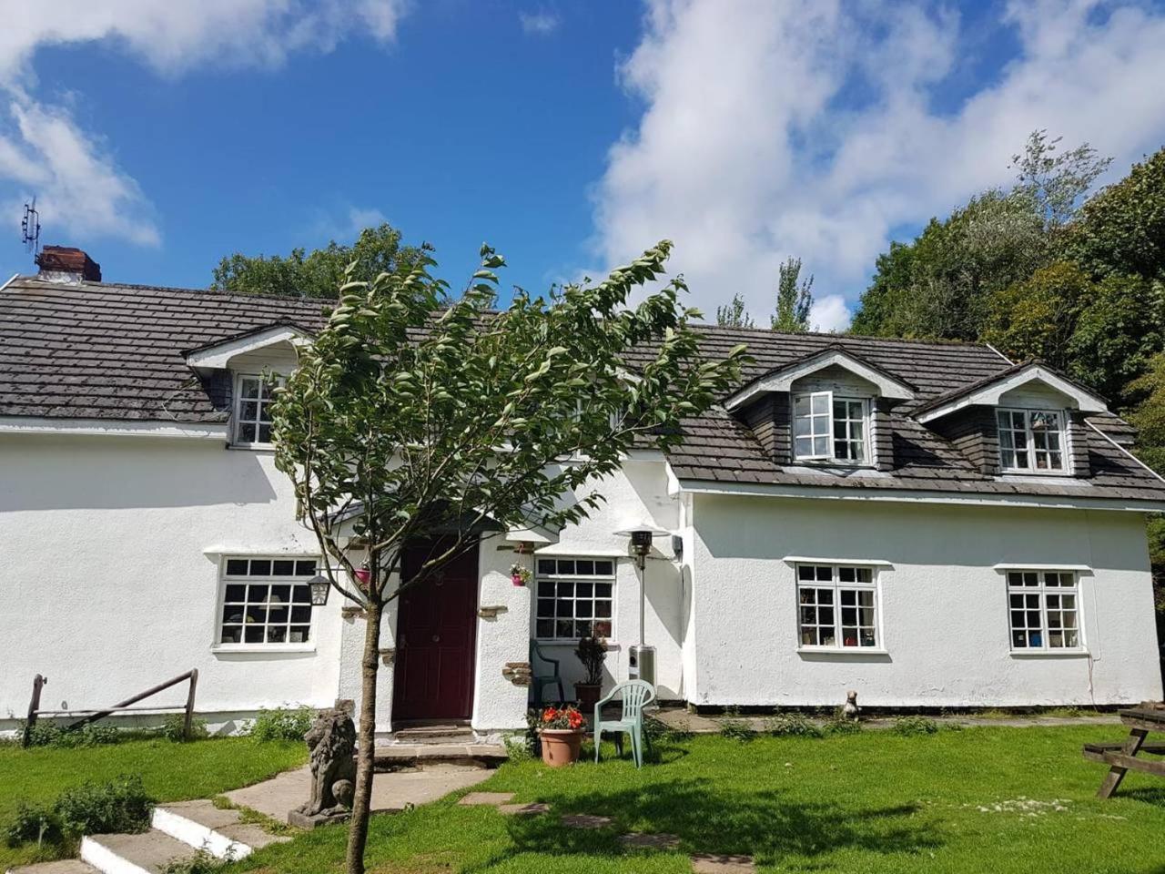 Coynant Farm Guesthouse - Farm Park Stay Swansea Kültér fotó